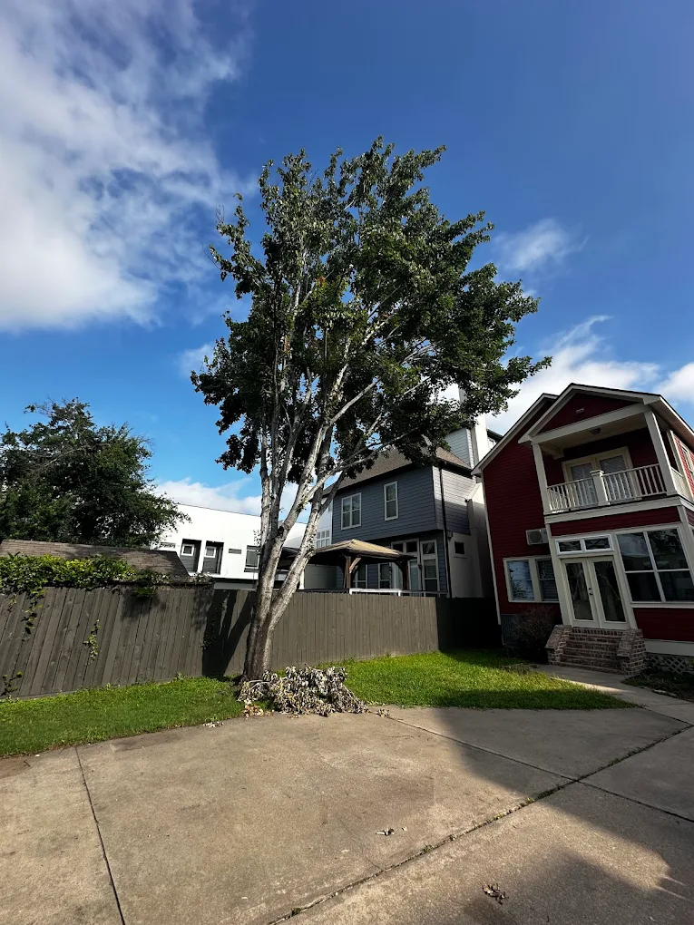Residential Tree Service in Houston, TX, EZ Tree Service