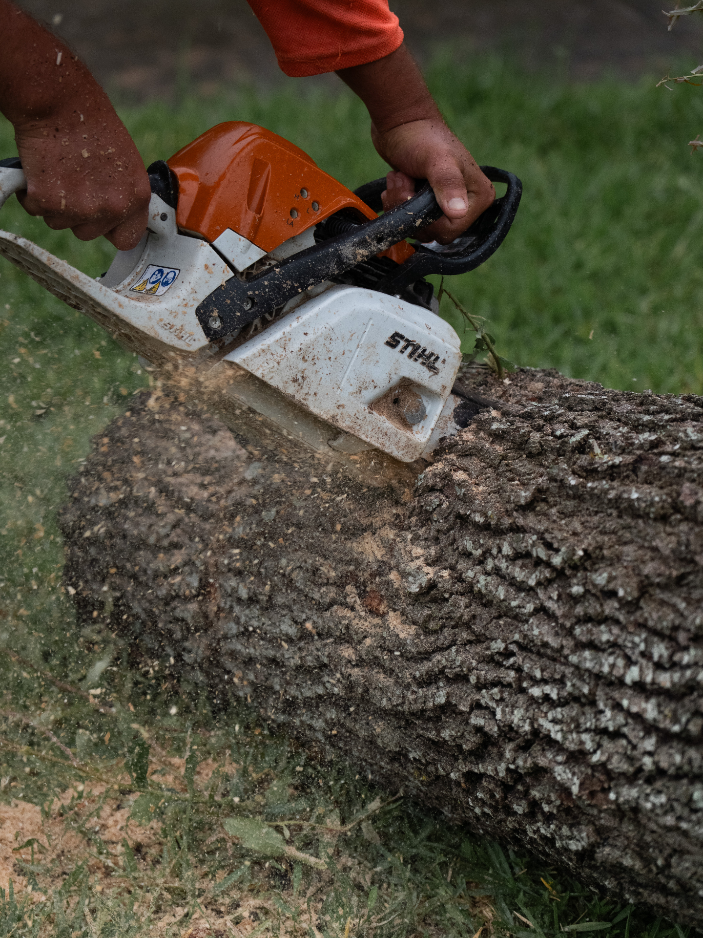 Tree Removal in Houston, TX, EZ Tree Service