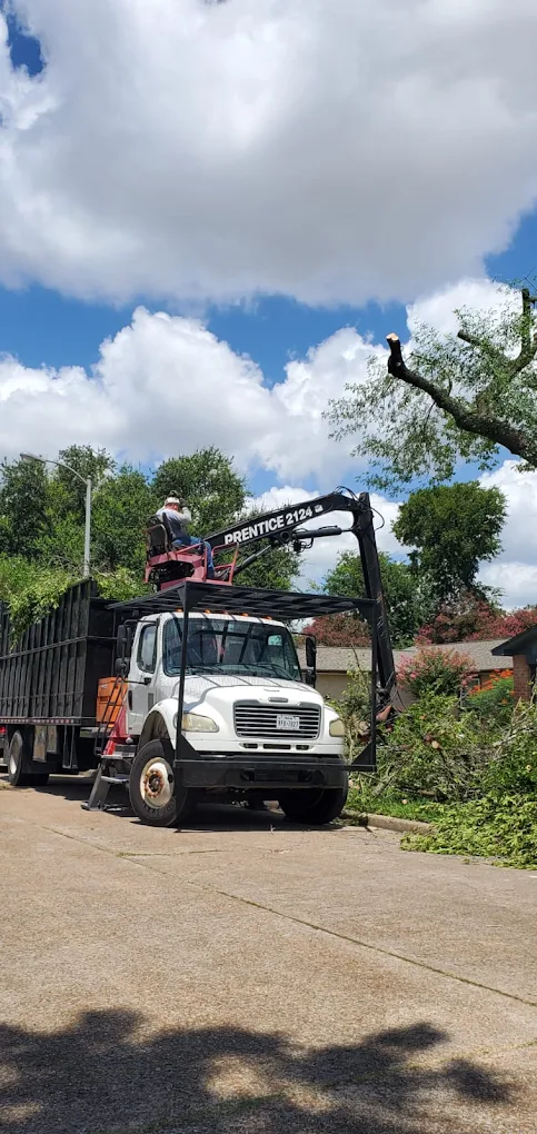 EZ Tree Service Houston crew