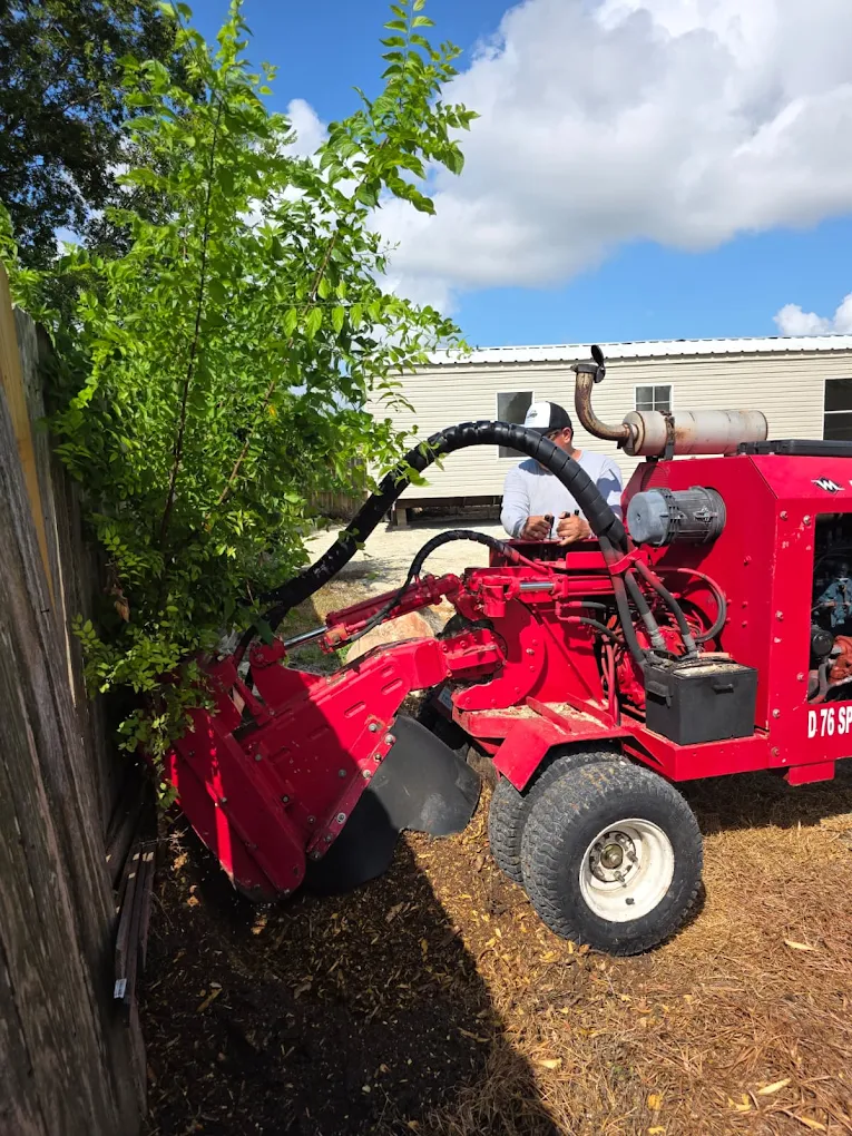 Stump Grinding in Houston, TX, EZ Tree Service