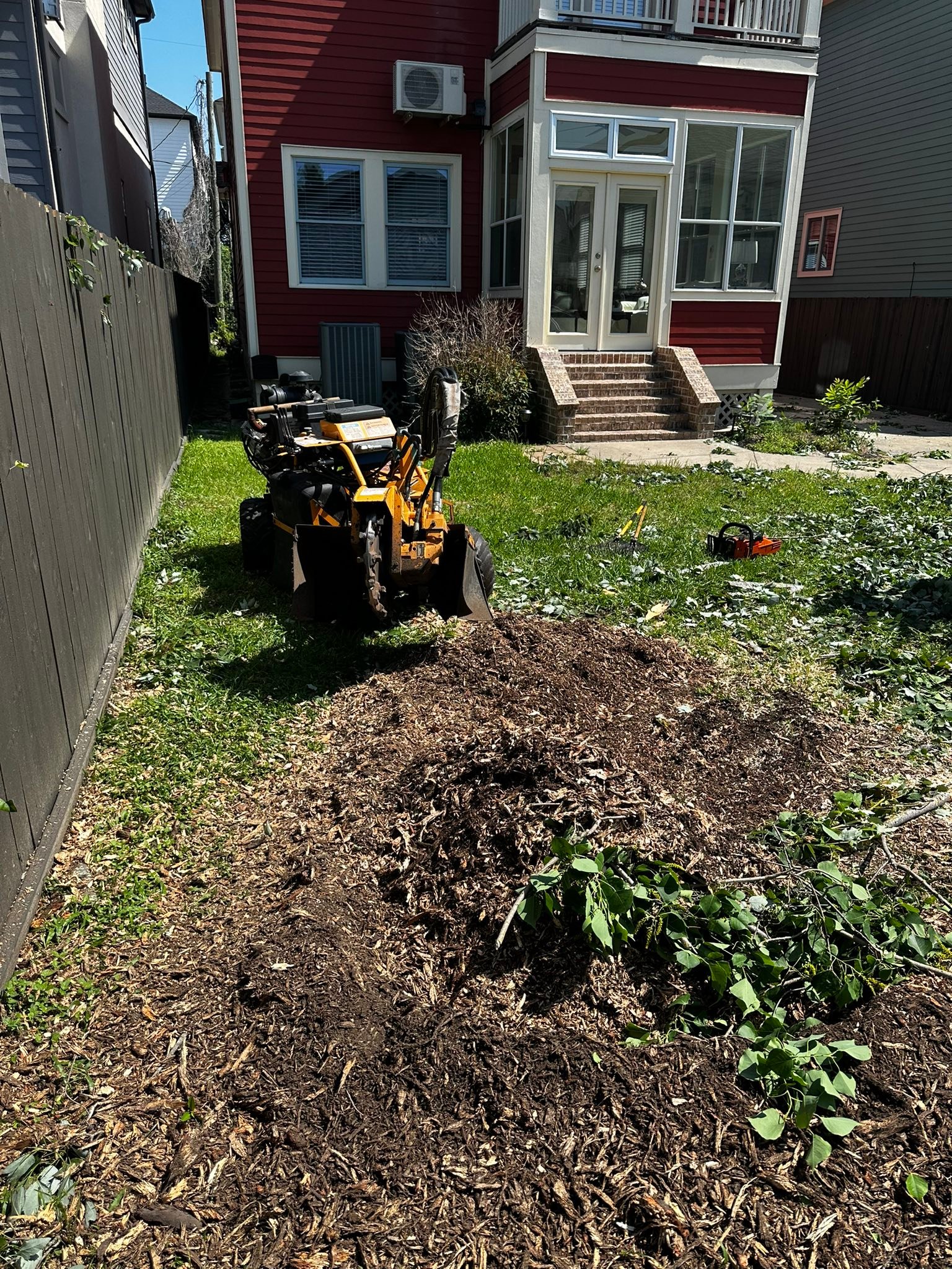 Professional tree removal and stump grinding service in Houston Heights, Texas