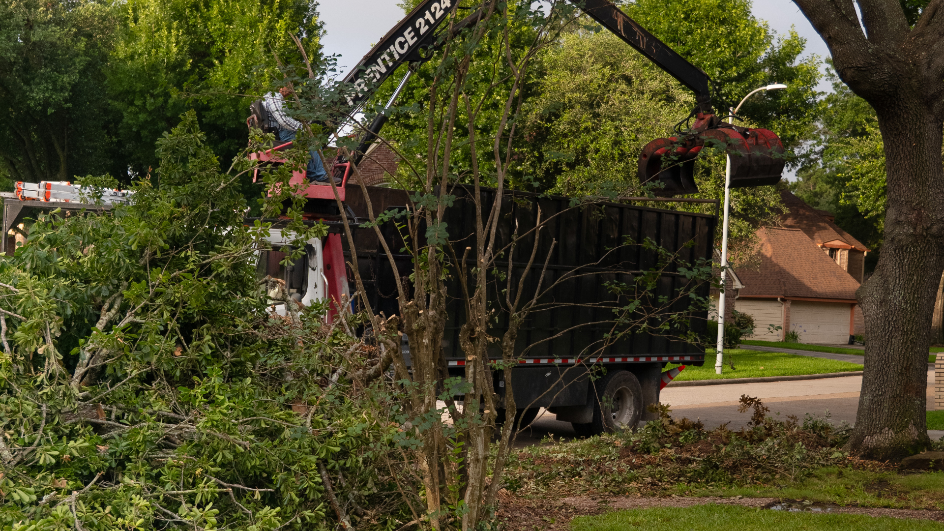 Commercial Tree Service in Houston, TX, EZ Tree Service